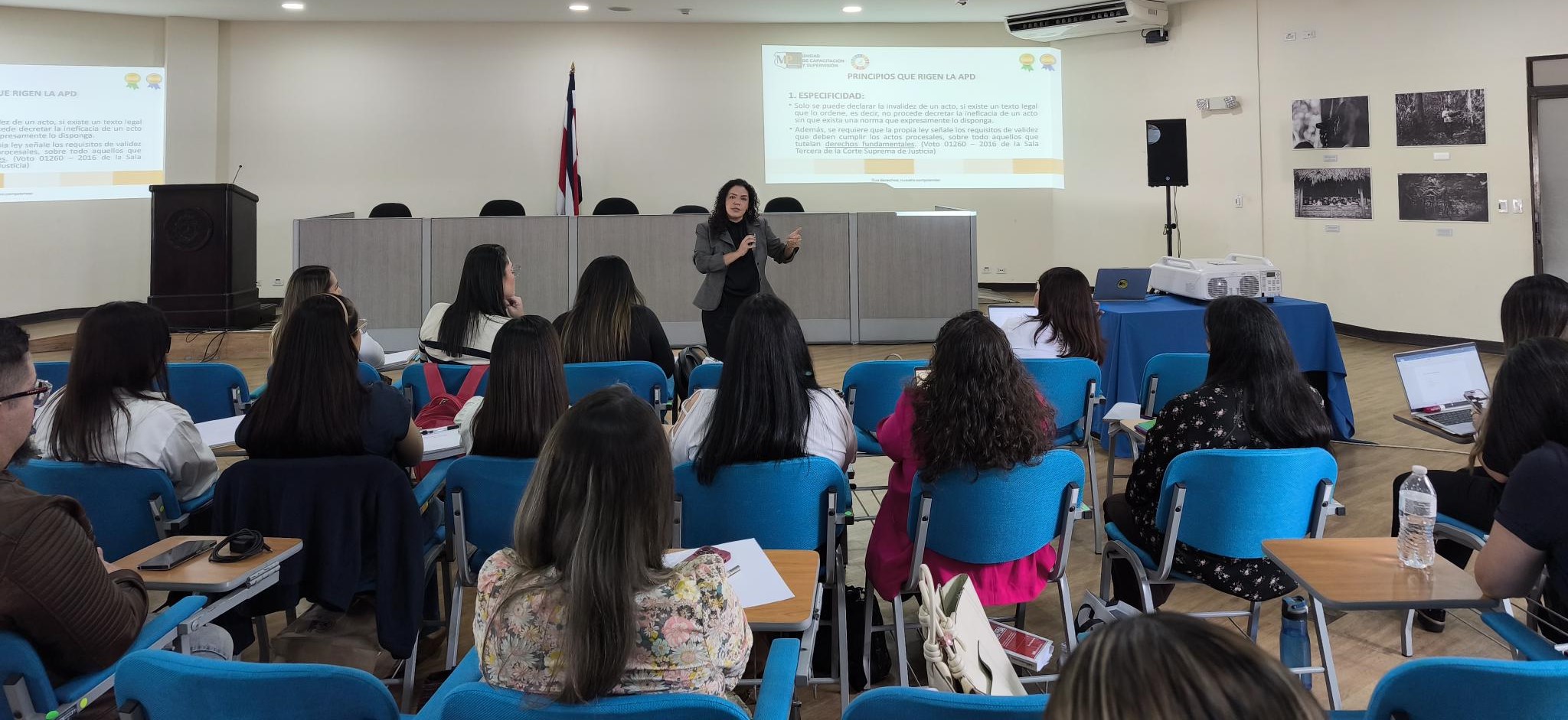 “Actividad Procesal Defectuosa”