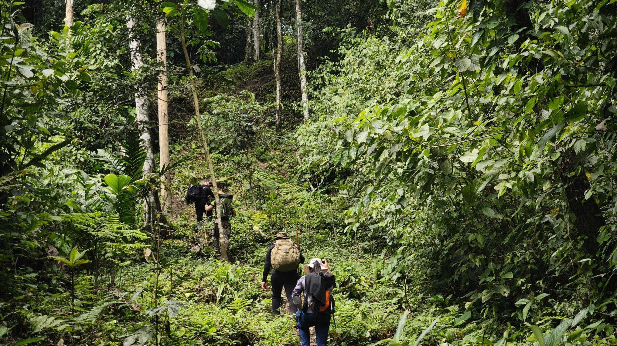 Camino a zona indígena